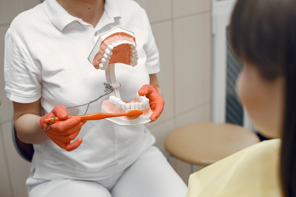 Zahnärztin zeigt am Kiefermodell, wie sich Regelversorgung und höherwertiger Zahnersatz beim Eigenanteil unterscheiden